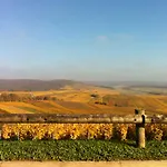 Manoir De Montflambert Bed & Breakfast Mutigny